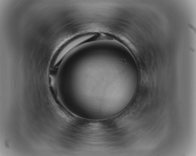 X0000096680391200802051250