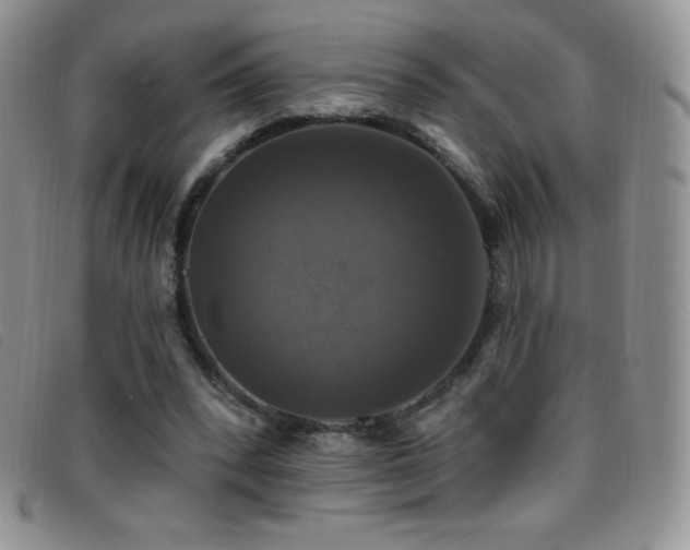 X0000096680392200802051250