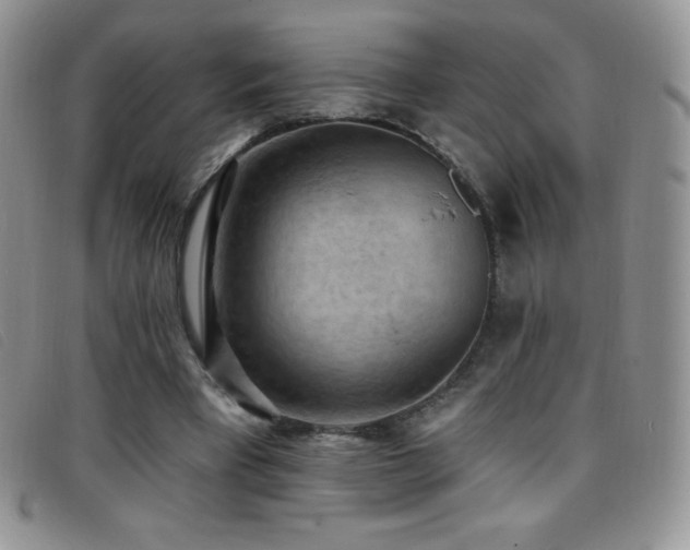 X0000096680393200802051250