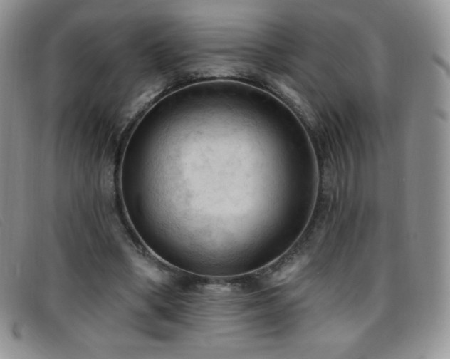 X0000096680394200802051250