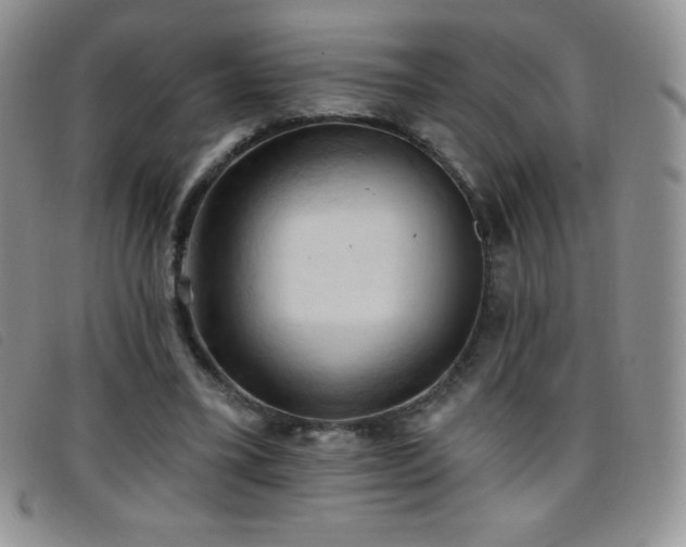X0000096680395200802051250