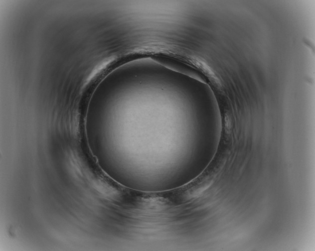 X0000096680396200802051250