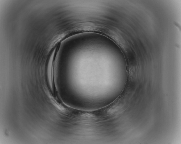 X0000096680397200802051250