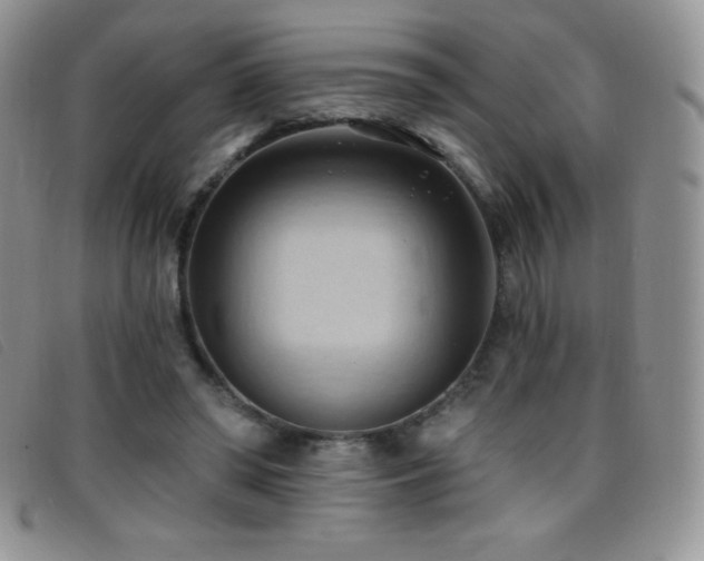 X0000096680398200802051250