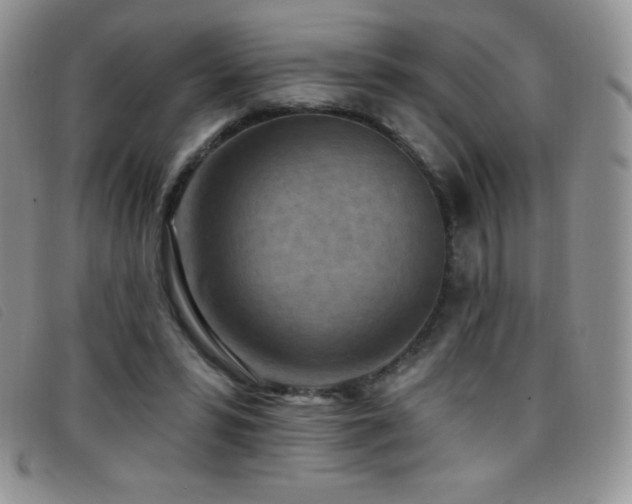 X0000096680399200802051250