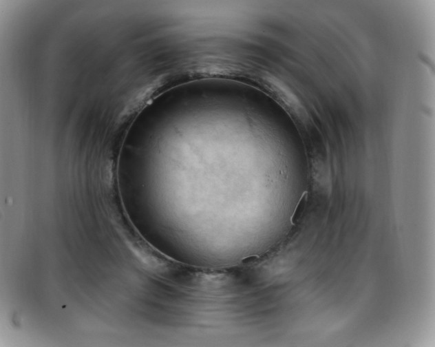X0000096680401200802051250