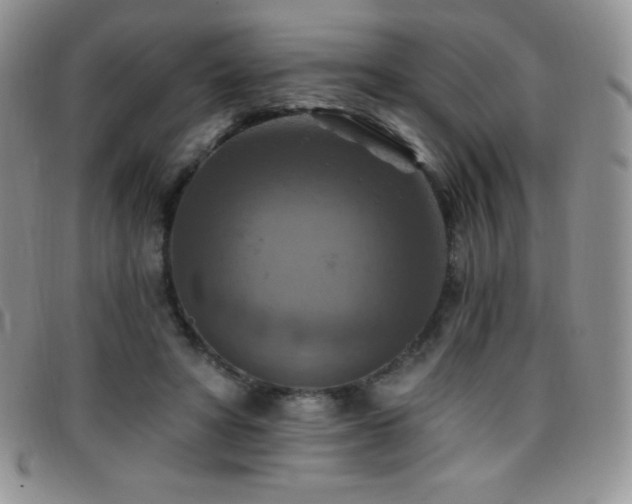 X0000096680402200802051250