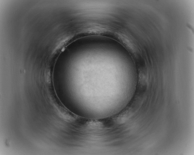X0000096680403200802051250