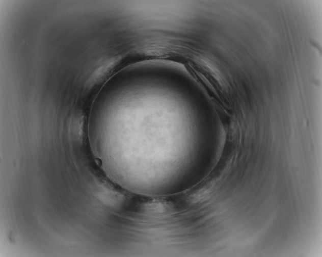 X0000096680404200802051250