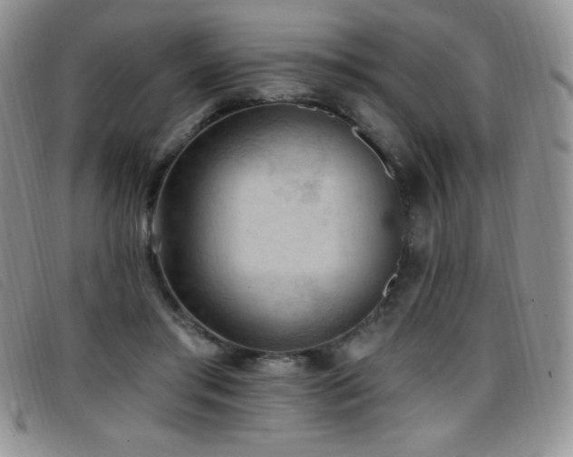 X0000096680405200802051250