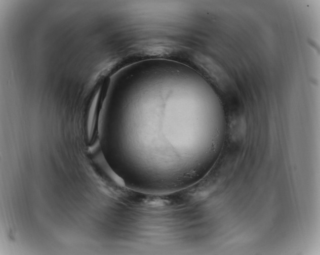 X0000096680407200802051250