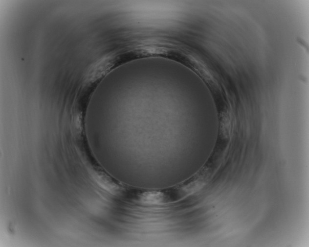 X0000096680410200802051250