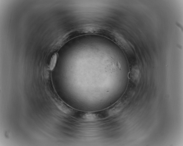 X0000096680413200802051250