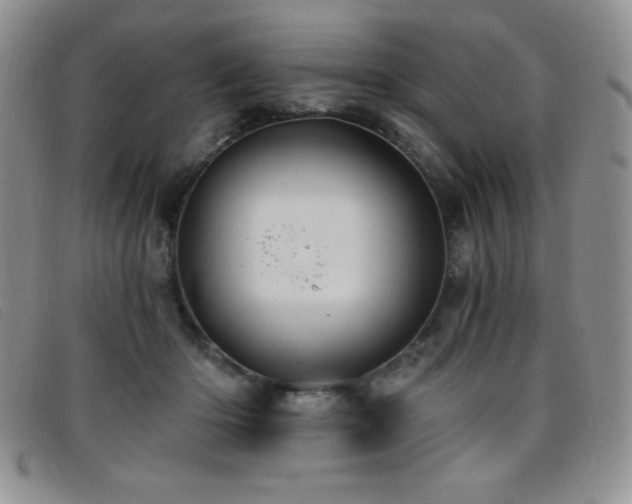 X0000096680414200802051250