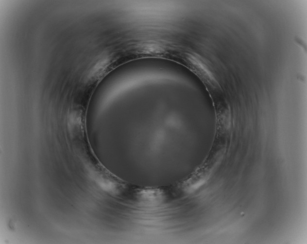 X0000096680415200802051250