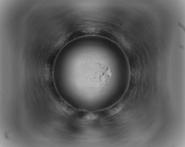 X0000096680416200802051250
