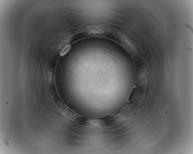 X0000096680417200802051250