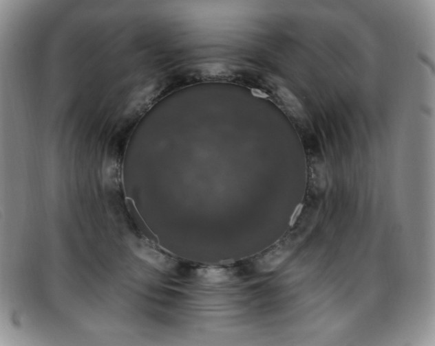 X0000096680419200802051250