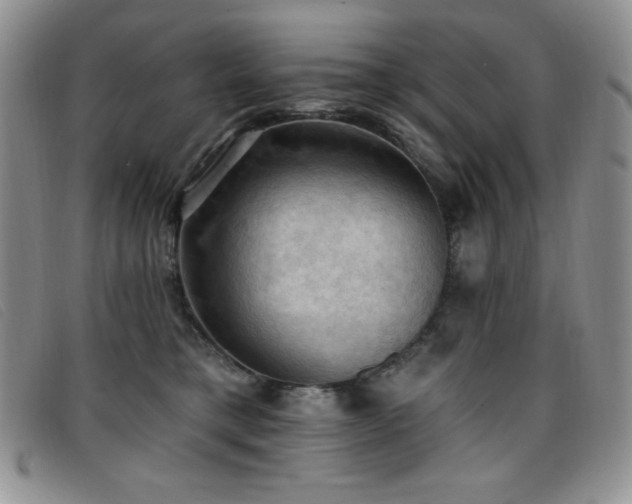 X0000096680421200802051250