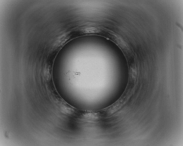 X0000096680422200802051250