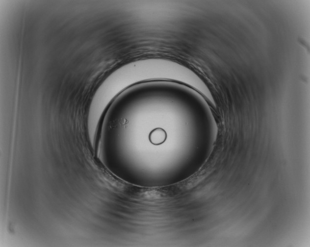 X0000096680423200802051250