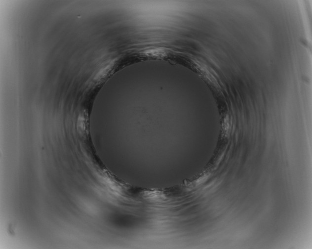 X0000096680424200802051250