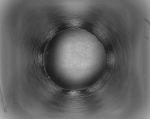 X0000096680425200802051250