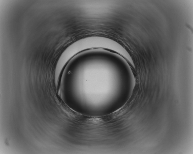 X0000096680427200802051250
