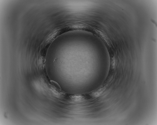 X0000096680428200802051250