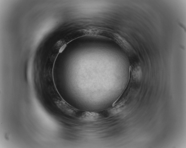 X0000096680429200802051250