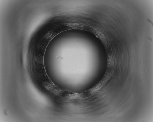 X0000096680430200802051250