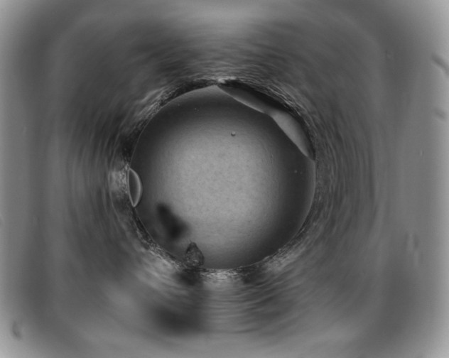 X0000096680432200802051250
