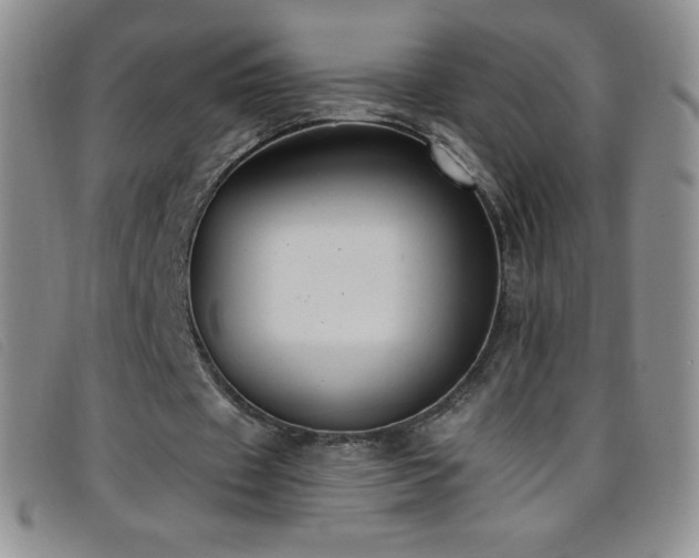 X0000096680433200802051249