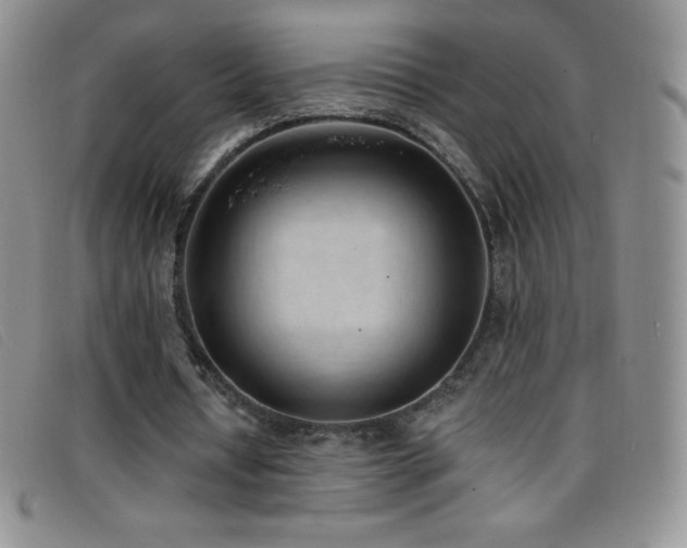 X0000096680434200802051249