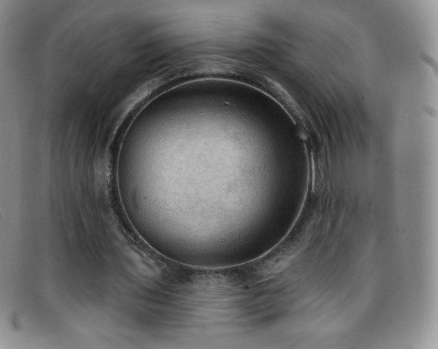 X0000096680435200802051249