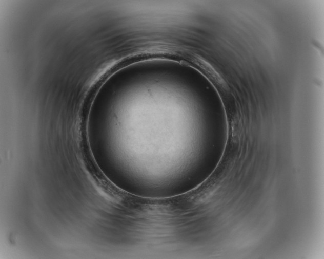 X0000096680436200802051249