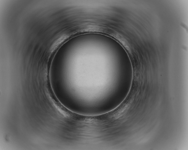 X0000096680437200802051249
