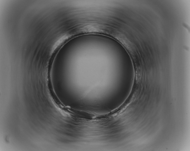 X0000096680438200802051249