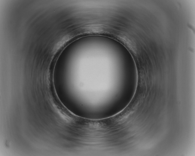 X0000096680439200802051249