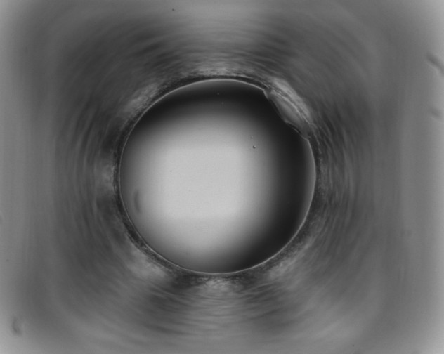 X0000096680441200802051249