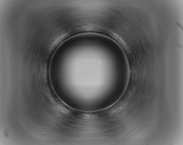 X0000096680442200802051249