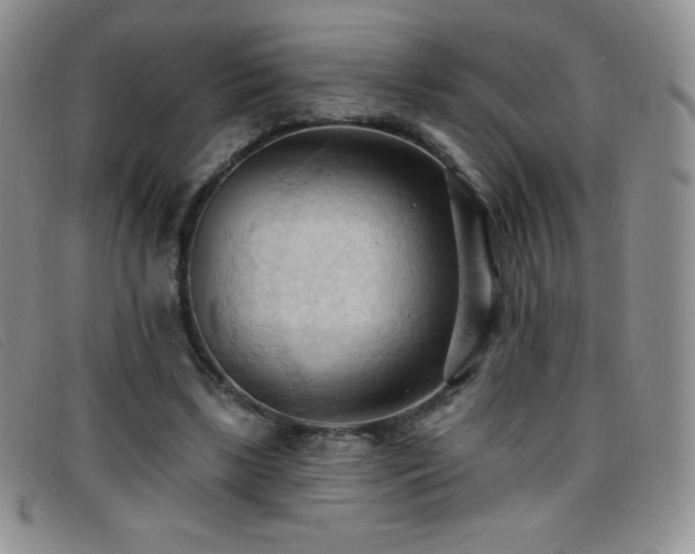 X0000096680443200802051249