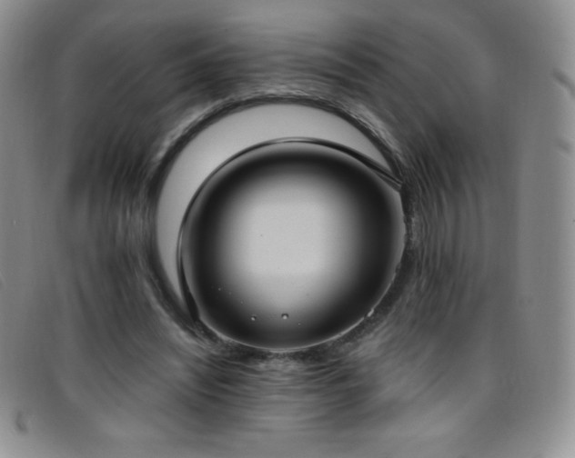 X0000096680444200802051249