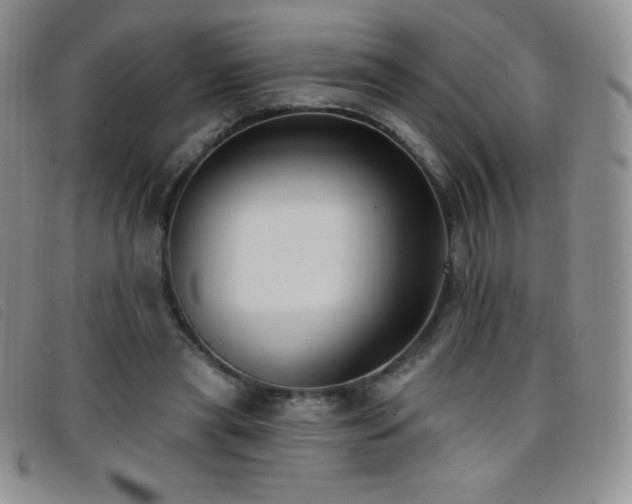 X0000096680445200802051249