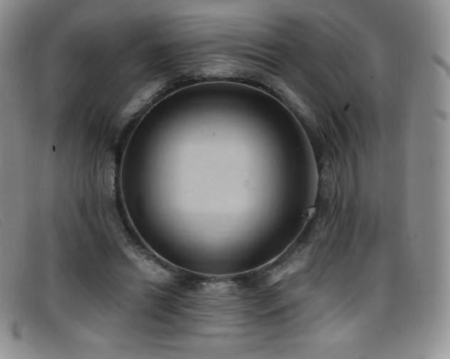 X0000096680446200802051249