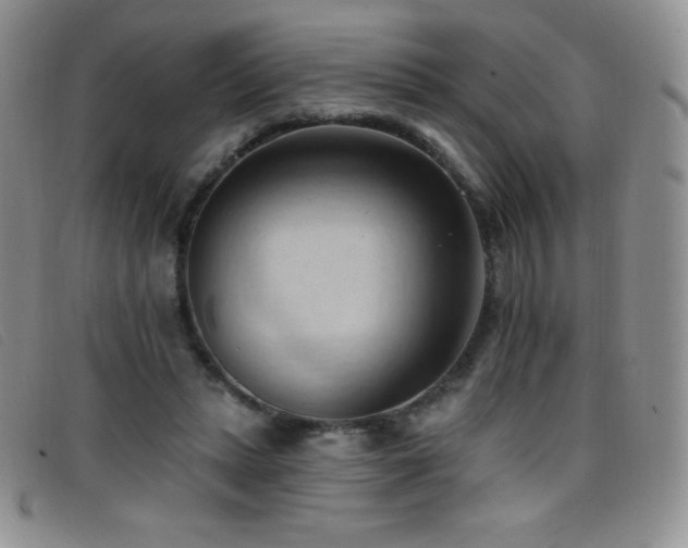 X0000096680447200802051249