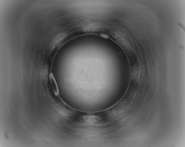 X0000096680448200802051249