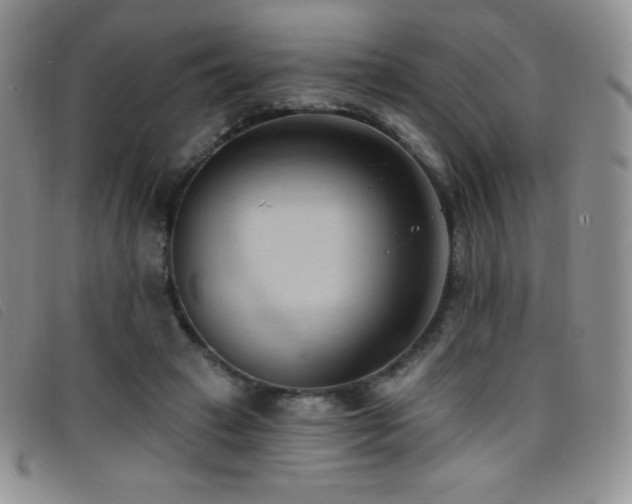 X0000096680449200802051249