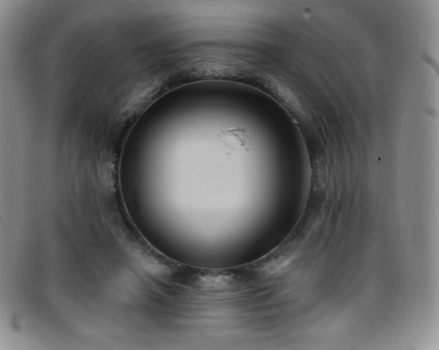 X0000096680450200802051249