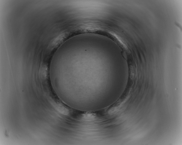 X0000096680451200802051249